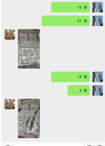 1743052723565.jpg