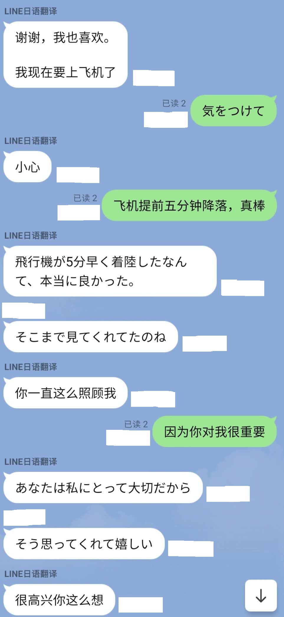 15.jpg